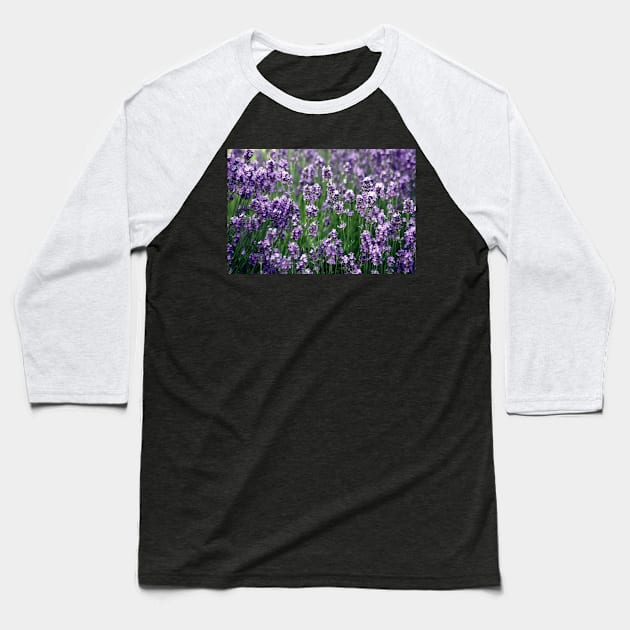 Violet flower fields Baseball T-Shirt by k-creatif